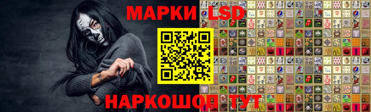 МЕФ Можга